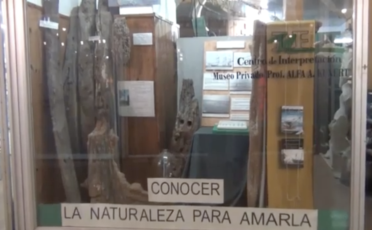 CHARLAS EN EL CENTRO DE INTERPRETACIÓN DE CIENCIAS NATURALES DE SAN CLEMENTE DEL TUYÚ